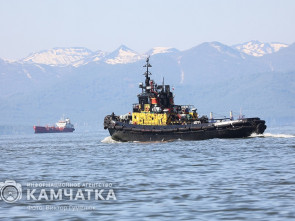Более 140 камчатцев приняли решение стать волонтёрами на голосовании за объекты благоустройства