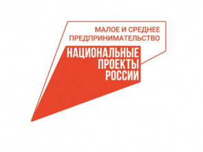 Предприниматели Камчатки получают федеральные средства для реализации своих проектов 0