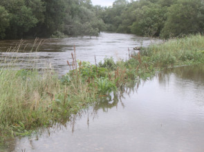 Подъём уровня воды в реке Большая Воровская ожидают в ближайшие два дня — МЧС Камчатки