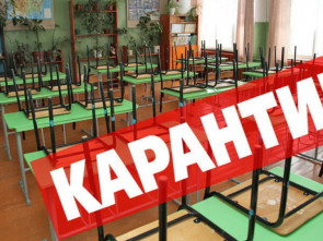 В Елизовской школе №1 на Камчатке объявили карантин из-за пищевого отравления детей