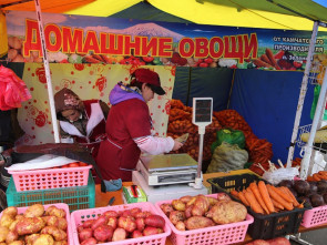 Многоформатная торговля на Камчатке: поддержка муниципалитетов в 2025 году