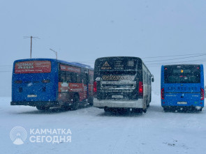 Перевозчики Петропавловска хотят поднять стоимость проезда до 60 рублей