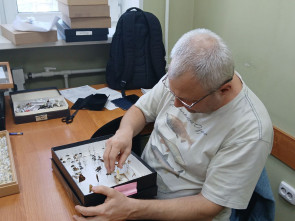 Научные исследования заповедников &laquo;Кроноцкий&raquo; и &laquo;Заповедная Мордовия&raquo;: сотрудничество на благо природы 2