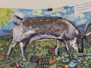 На Камчатке подвели итоги конкурса детских рисунков о животных 0