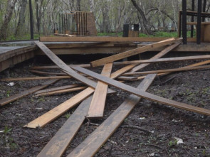 ​Власти Камчатки порекомендовали навести порядок в Авачинском парке Вилючинска 1