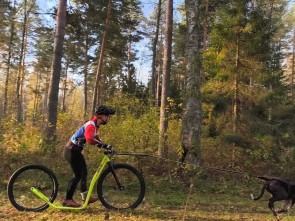 Камчатские «ездовики»  взяли медали на Чемпионате и Первенстве России