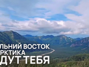 Снял поход на телефон — получи 3 млн рублей