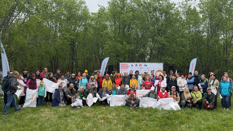 На Камчатке собрали 183 килограмма папоротника