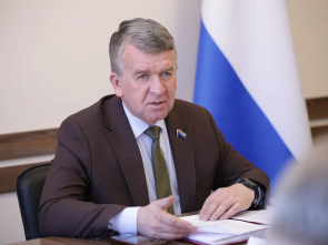 Камчатский парламент поддержал инициативу упростить изъятие контрафактного алкоголя