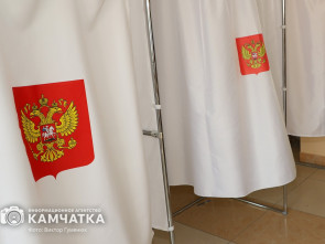 Открытое наблюдение на выборах Президента будет организовано на Камчатке