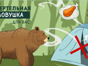 Мультик про медведей научит камчатцев не кормить хищников и не бегать при встрече