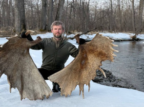 Метровые рога лося-гиганта нашли в Кроноцком заповеднике на Камчатке