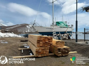 Песцы, стройка и тонны тушёнки: учёные штурмуют необитаемый остров Медный