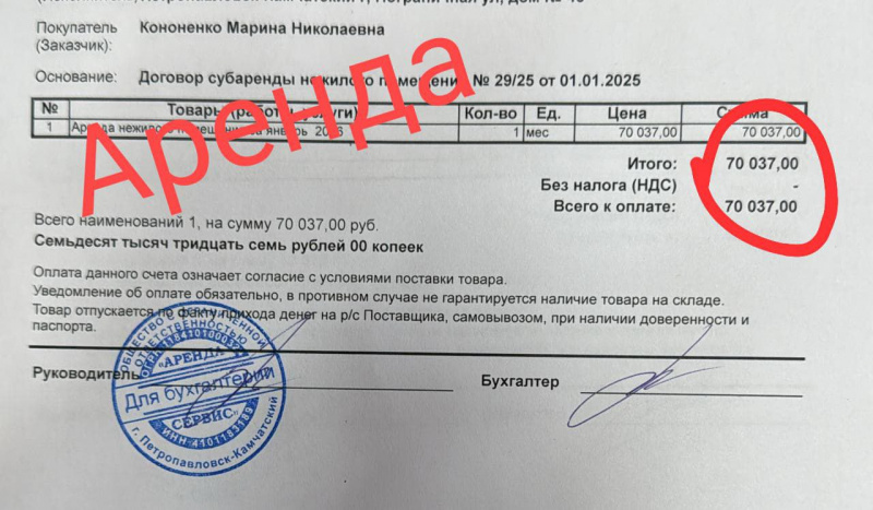 Камчатский приют кошек &laquo;Оберег&raquo; просит помощи у города и горожан