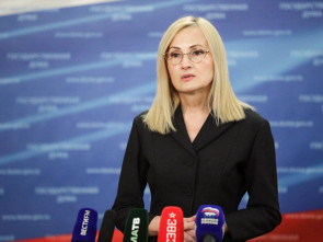 Ирина Яровая: организаторы преступных сообществ будут нести ответственность за каждое преступление