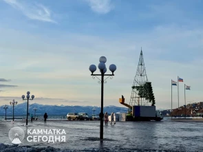 Концерты, фейерверк, фудкорт: в столице Камчатки подготовлена большая праздничая программа