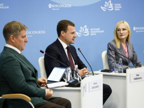 Ирина Яровая предложила уделить особое внимание сейсмобезопасности при реализации Стратегии развития ДВ 4