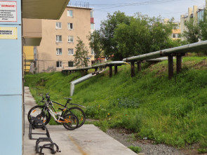 Андрей Воровский наградил активных жителей дома на Толстого, 3 за заботу о дворе 2