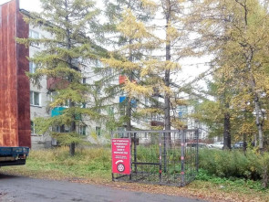 В Елизовском районе начался сезонный сбор старых покрышек 3