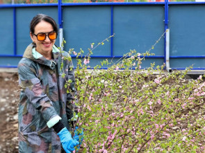 В центре Коряк высадили сакуры &mdash; здесь будет новый парк с качелями и скамейками 3