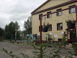 В Мильковском приюте &laquo;Четыре Лапы&raquo; появились новые вольеры и зона выгула 2