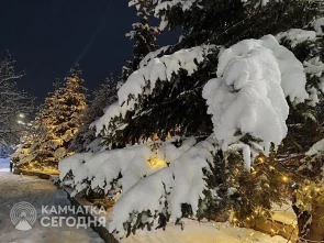 Праздничная рождественская программа пройдет в центре Петропавловска-Камчатского