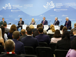 Ирина Яровая предложила уделить особое внимание сейсмобезопасности при реализации Стратегии развития ДВ 2