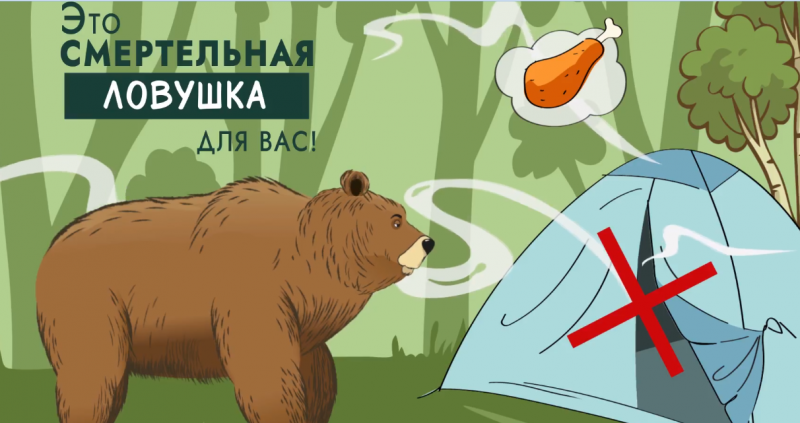 Мультик про медведей научит камчатцев не кормить хищников и не бегать при встрече