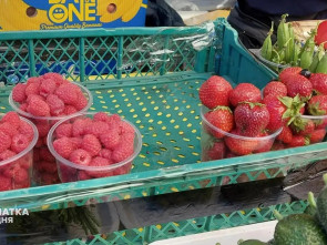 Камчатские дачники и фермеры собрали богатый урожай овощей и ягод 10