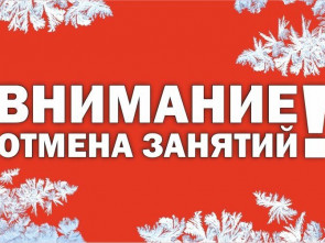 В Петропавловске-Камчатском отменили занятия в школах