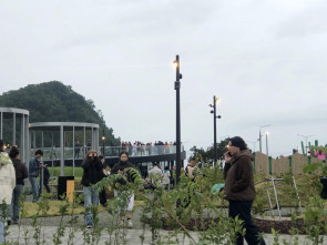 В Петропавловске-Камчатском открылся парк &laquo;Экосистема&raquo; 3