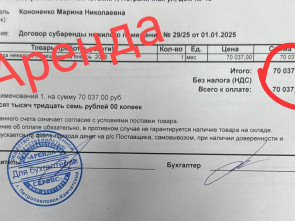 Камчатский приют кошек «Оберег» просит помощи у города и горожан