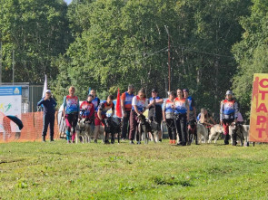 Хвосты на старте: на Камчатке прошли соревнования по ездовому спорту на базе &laquo;Лесная&raquo; 8