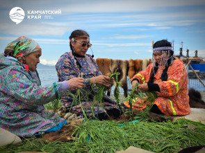 На берегу Авачинской бухты встретили первую рыбу: как на Камчатке прошёл древний праздник коренных народов 6