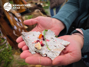 На берегу Авачинской бухты встретили первую рыбу: как на Камчатке прошёл древний праздник коренных народов 18