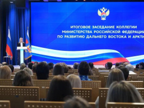 Алексей Чекунков поблагодарил Ирину Яровую за законы, направленные на развитие Дальнего Востока 0