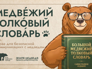 На Камчатке вышел медвежий толковый словарь: как не стать «движущейся целью»
