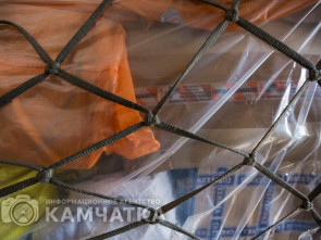 19-летнюю жительницу столицы Камчатки задержали с крупной партией наркотиков