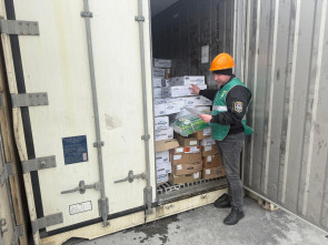 Рыбопродукция с Камчатки весом более 10 тонн отправлена на экспорт