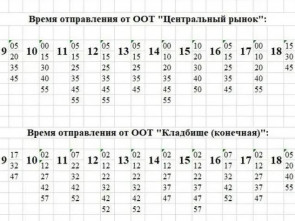 Как съездить на кладбище 21 апреля: расписание автобусов №11 в Петропавловске-Камчатском 1