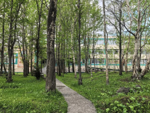 Сквер на улице Тушканова в камчатской столице станет комфортным общественным пространством