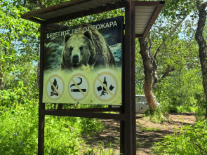 На Камчатке благоустроили излюбленное место отдыха туристов 3