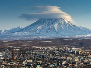 С февраля в России введены новые законы