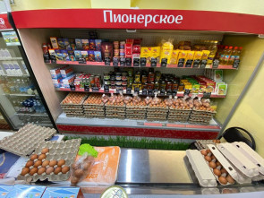 Камчатка под контролем: яйцо на прилавках &ndash; цены проверены! 0