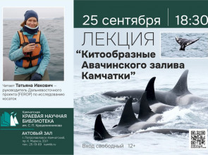 В Петропавловске-Камчатском пройдет лекция о китообразных Авачинского залива