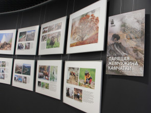 В экоцентре &laquo;Заповедная Камчатка&raquo; начали работать выставки в честь открытия Долины гейзеров 17