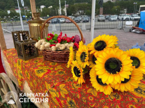 В Петропавловске-Камчатском скорректировали расписание общественного транспорта на 