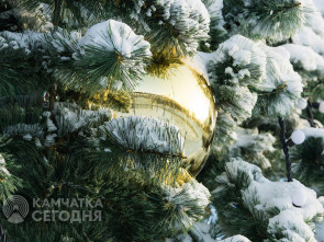 Жителям столицы Камчатки подарят новогоднее настроение