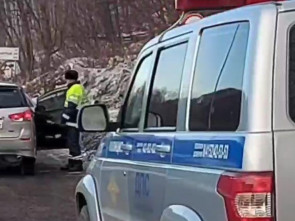 В новогоднюю ночь на Камчатке поймали 10 автопьяниц