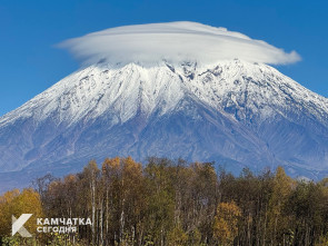 Участники СВО на Камчатке могут подтвердить свой статус онлайн